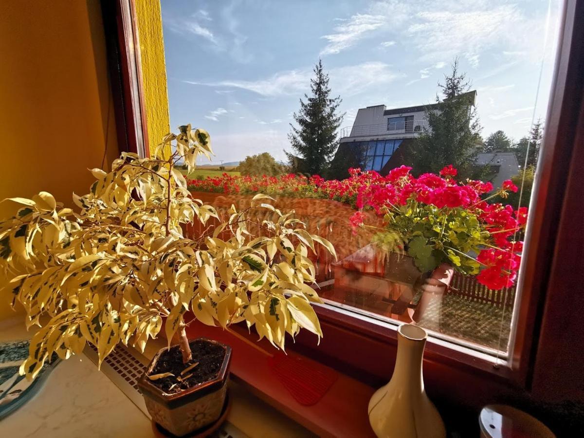 Apartman Adrianka Turčianske Teplice Dış mekan fotoğraf